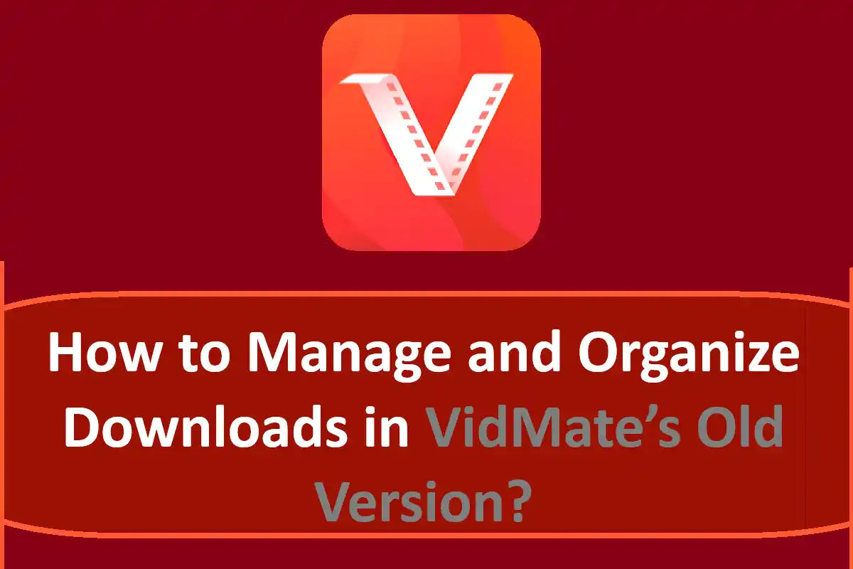 How to Manage and Organize Downloads in Vidmate Old Version?